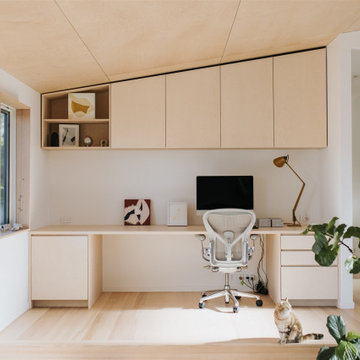 Tree Fern House